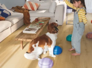 Kies een vloer die geschikt is voor huisdieren - PVC en Laminaat